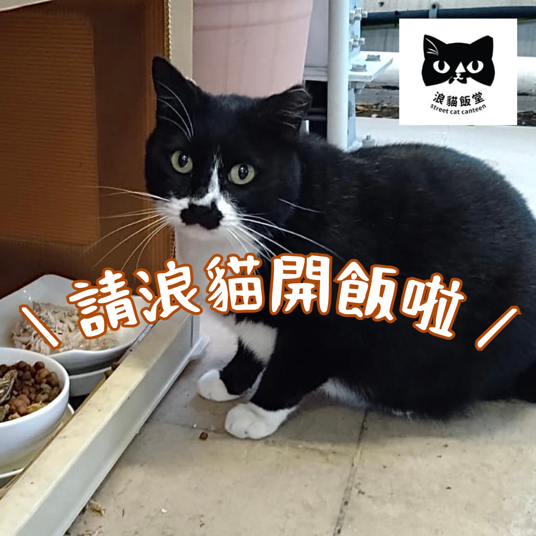 支持我們 SUPPORT US